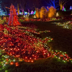 VanDusen Gardens