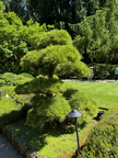 IMG 7284