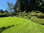 IMG 7286
