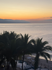 IMG 9244